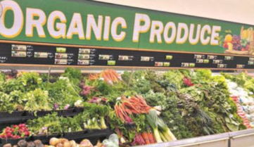 Казахстан: Почему фермерам выгодно кормить экологическими продуктами европейцев и американцев