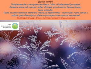 Поздравляем с наступающими Новым Годом и Рождеством Христовым!