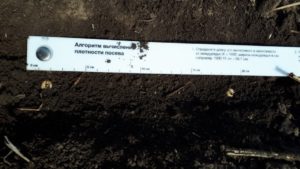 Методические рекомендации по агротехнологии выращивания гороха на зерно в системе органического сельского хозяйства