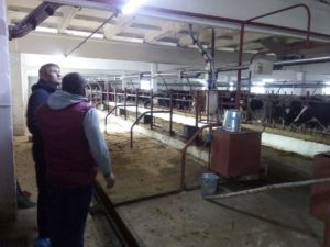 Переход на органическое сельское хозяйство осуществляется в несколько этапов
