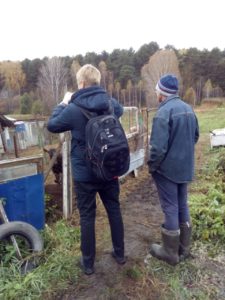 Переход на органическое сельское хозяйство осуществляется в несколько этапов