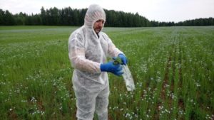 Переход на органическое сельское хозяйство осуществляется в несколько этапов