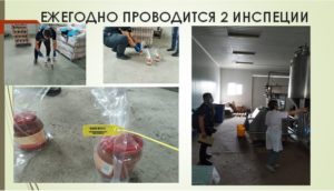 Переход на органическое сельское хозяйство осуществляется в несколько этапов
