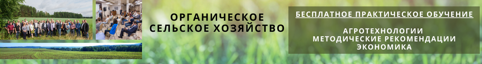 Видео: Конференция «Здоровое питание и ответственное потребление VS химизированная и искусственная еда»