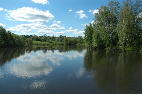 пермакультура водный баланс