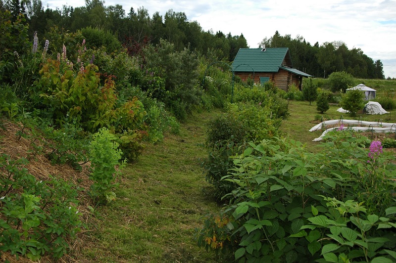 Миродолье пермакультура