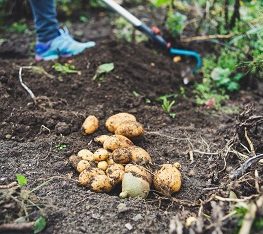 углеродный след в производстве продуктов питания