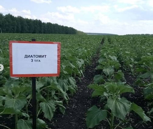 Ульяновский ГАУ опыт