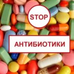 бактерии для животноводства