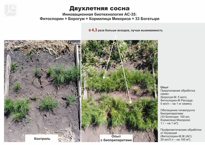 Биотехнология «АС-35» спасет мир от климатической катастрофы