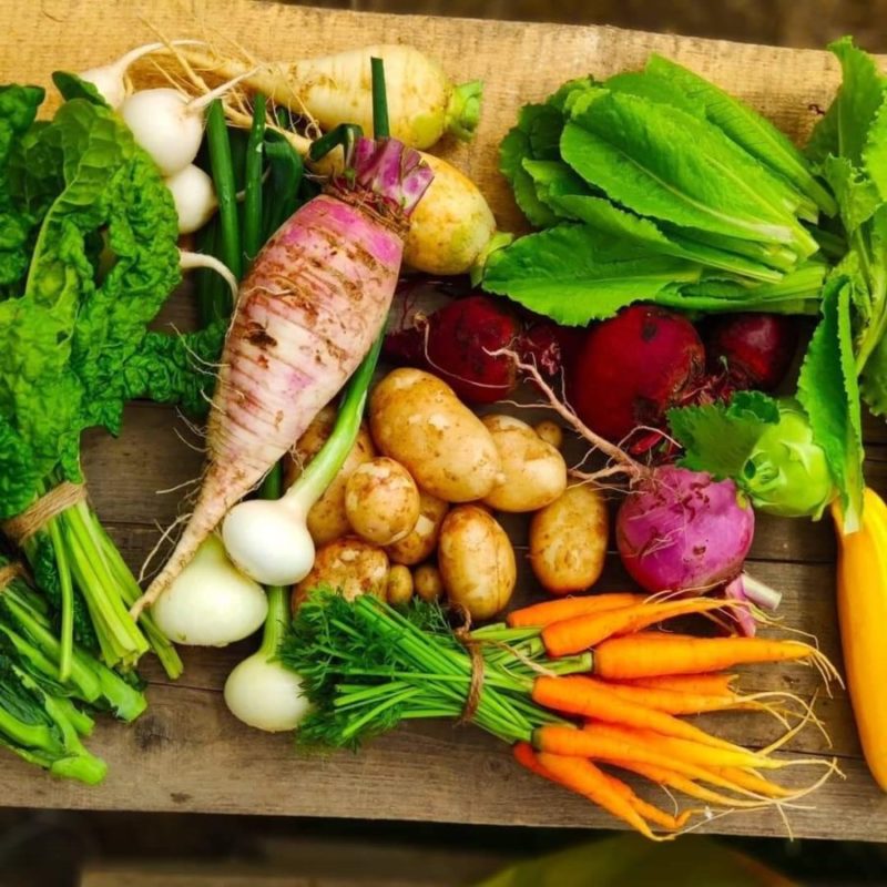 Методические рекомендации по сбыту органической продукции для сельхозпроизводителей