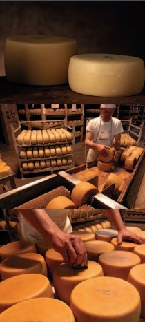 Методические рекомендации по сбыту органической продукции для сельхозпроизводителей