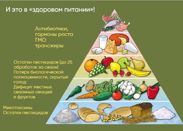 Методические рекомендации по сбыту органической продукции для сельхозпроизводителей