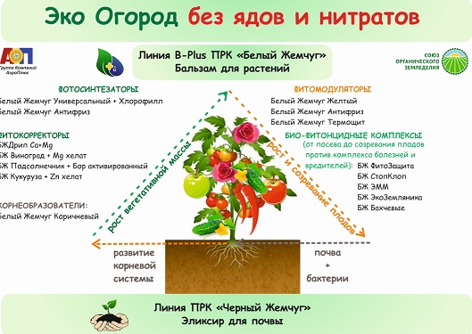 Эко Человек без ядов и нитратов