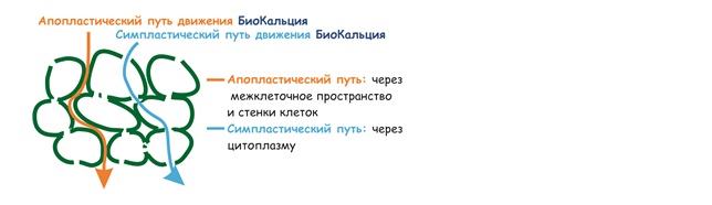 Эко Человек без ядов и нитратов