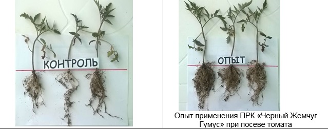 Эко Человек без ядов и нитратов