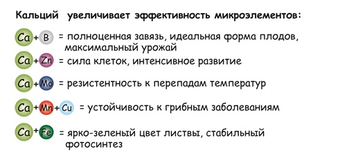 Эко Человек без ядов и нитратов