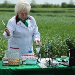 биологические и химические средства защиты растений