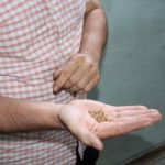 ООО Степной Курай Агро Плюс Алтайский край органическая продукция