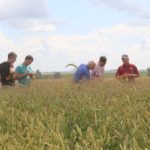 ООО Степной Алтайский край органическая продукция