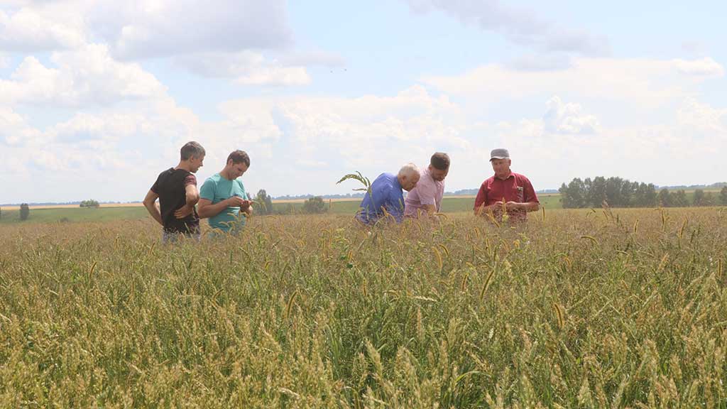 ООО Степной Алтайский край органическая продукция