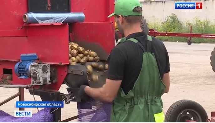 В школах России начали изучать дополнительный предмет о пользе органических продуктов питания