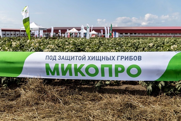 Как определить эффективность биопрепарата?