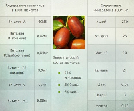 Зизифус польза