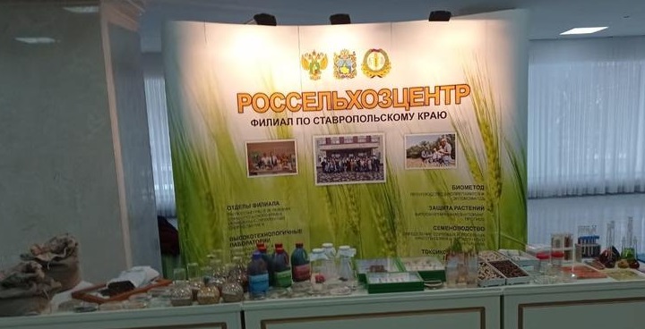 Биологизированные технологии импортозамещения в растениеводстве Ставрополья