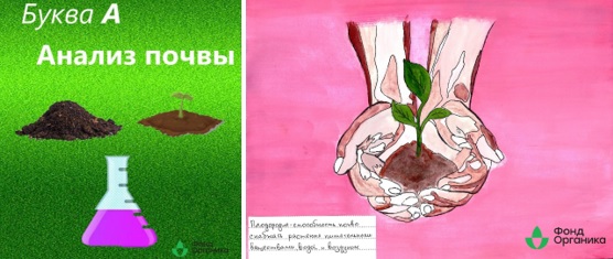 Победителей и лауреатов регионального конкурса на знание темы органической продукции в Приморском крае наградят