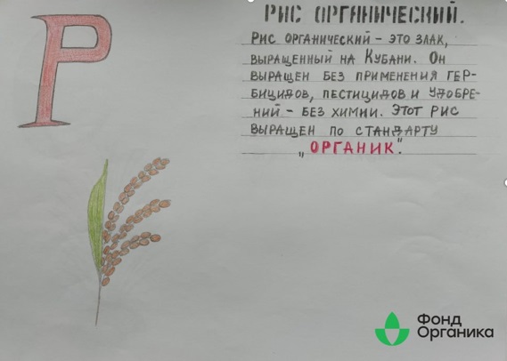 Детей, победивших в конкурсе на знание темы органической продукции наградят в Воронежской области