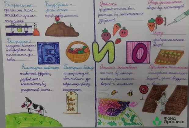 В Новосибирской области наградят детей победивших в конкурсе на знание темы органической продукции