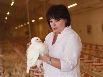 «От поля до прилавка»: кто и как производит органическую продукцию в Новосибирской области?