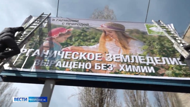 В Воронежской области размещена наружная социальная реклама органической продукции