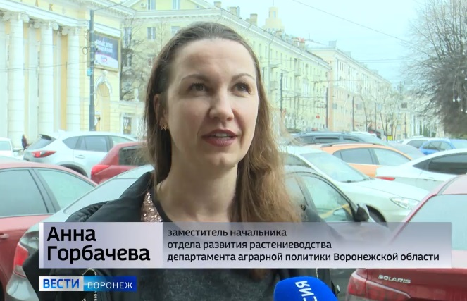 В Воронежской области размещена наружная социальная реклама органической продукции