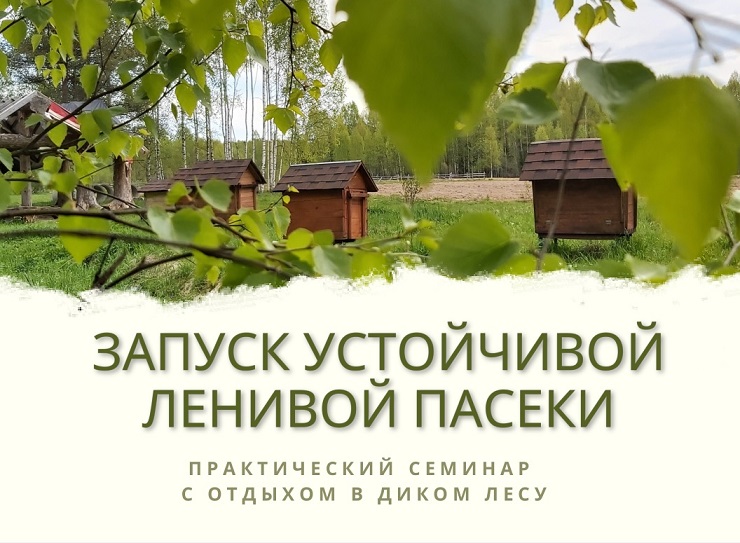 Приглашаем вас на практический семинар Запуск Лесной Ленивой Пасеки.