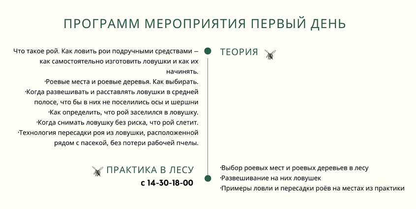 Приглашаем вас на практический семинар Запуск Лесной Ленивой Пасеки.