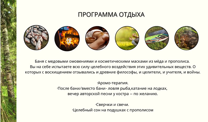 Приглашаем вас на практический семинар Запуск Лесной Ленивой Пасеки.