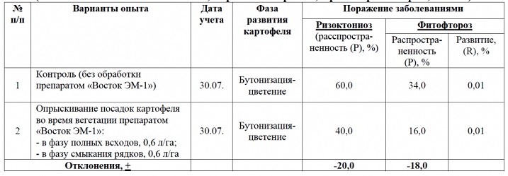 Красноярский край: картофель без праши, фитофтороза и альтернариоза, +30% к урожайности