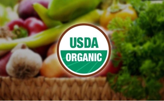 Продажи органических продуктов питания в США превысили 60 миллиардов долларов в 2022 году