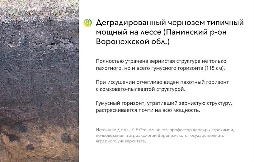 потеря чернозема в России