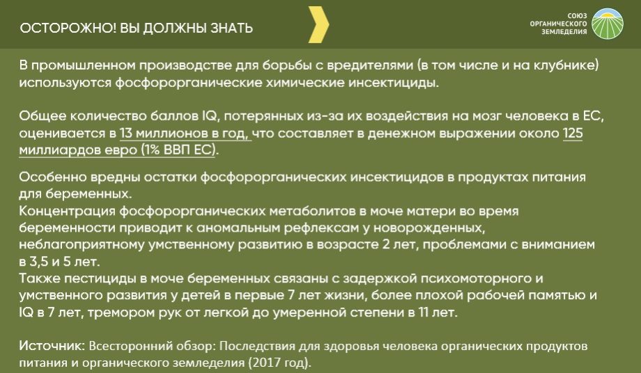 Разница органической и промышленной клубники, выращенной на агрохимии. Чем опасна химизированная и чем полезна органическая