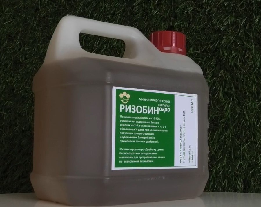 Пройден один из важных этапов регистрации микробиологического удобрения «РИЗОБИН агро» НИИСХ Крыма