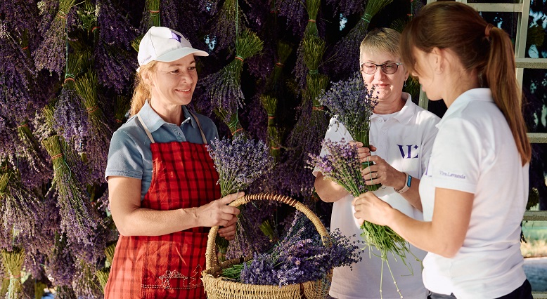 Ферма Viva Lavanda в Крыму зовёт на экскурсии с аромадегустациями