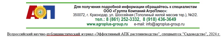 Лоза – секрет симфонии вина
