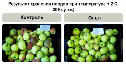 Как убрать паршу и другое. Советы ученых