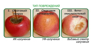 Как убрать паршу и другое. Советы ученых