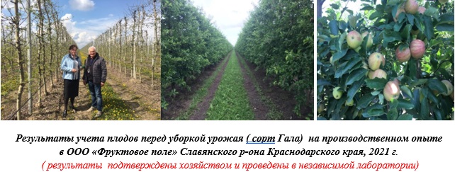 Как убрать паршу и другое. Советы ученых