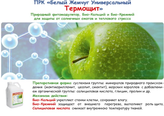 Как убрать паршу и другое. Советы ученых