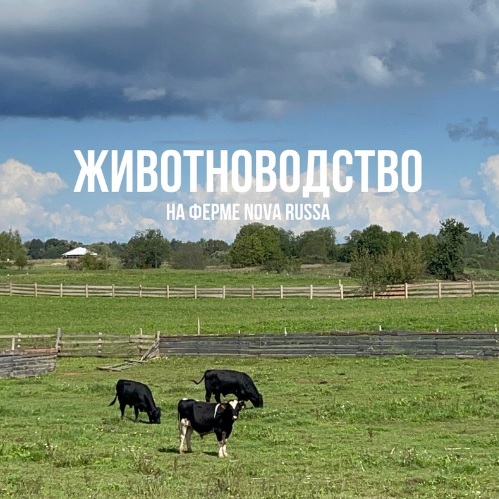 КФХ Нова Русса получило звание народного органического бренда